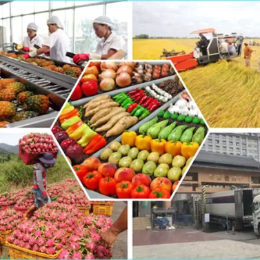 Xuất khẩu nông, lâm sản “bùng nổ”